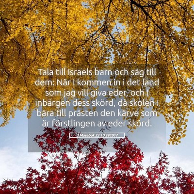 Picture 05 - 3 Mosebok 23:10 SV1917 - Tala till Israels barn och säg till dem: När I - Bible Verse Picture