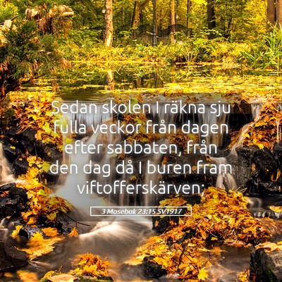 Picture 05 - 3 Mosebok 23:15 SV1917 - Sedan skolen I räkna sju fulla veckor från - Bible Verse Picture
