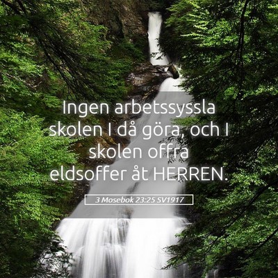 Picture 05 - 3 Mosebok 23:25 SV1917 - Ingen arbetssyssla skolen I då göra, och I - Bible Verse Picture