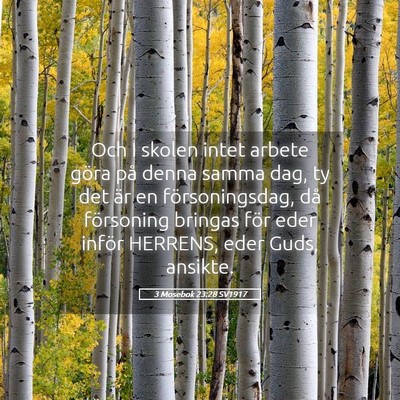 Picture 05 - 3 Mosebok 23:28 SV1917 - Och I skolen intet arbete göra på denna samma - Bible Verse Picture