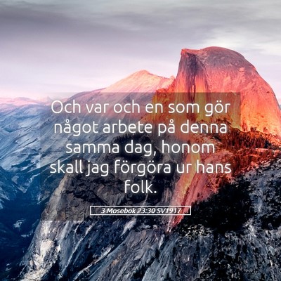 Picture 05 - 3 Mosebok 23:30 SV1917 - Och var och en som gör något arbete på denna - Bible Verse Picture