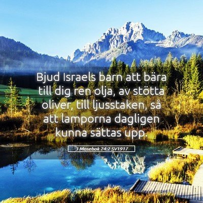 Picture 05 - 3 Mosebok 24:2 SV1917 - Bjud Israels barn att bära till dig ren olja, av - Bible Verse Picture