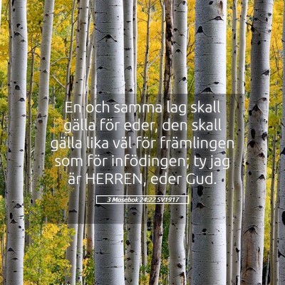 Picture 05 - 3 Mosebok 24:22 SV1917 - En och samma lag skall gälla för eder, den - Bible Verse Picture