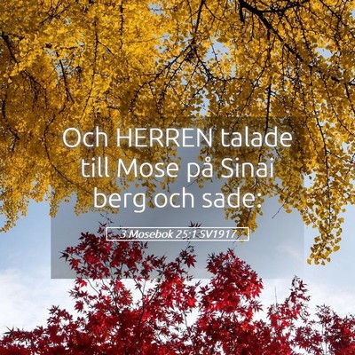Picture 05 - 3 Mosebok 25:1 SV1917 - Och HERREN talade till Mose på Sinai berg och - Bible Verse Picture