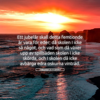 Picture 05 - 3 Mosebok 25:11 SV1917 - Ett jubelår skall detta femtionde år vara för - Bible Verse Picture