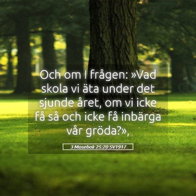 Picture 05 - 3 Mosebok 25:20 SV1917 - Och om I frågen: »Vad skola vi äta under det - Bible Verse Picture