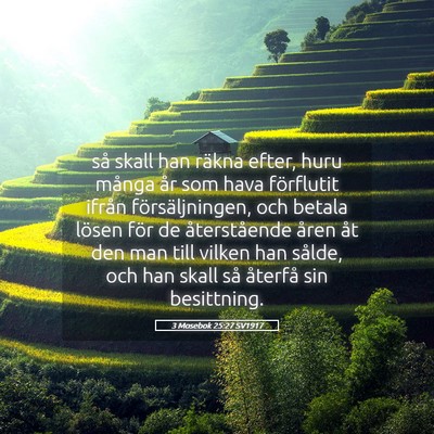 Picture 05 - 3 Mosebok 25:27 SV1917 - så skall han räkna efter, huru många år som - Bible Verse Picture
