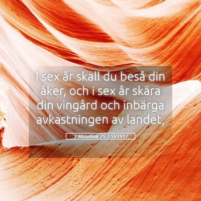 Picture 05 - 3 Mosebok 25:3 SV1917 - I sex år skall du beså din åker, och i sex år - Bible Verse Picture