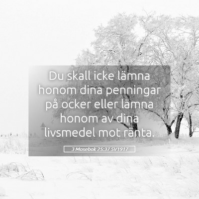 Picture 05 - 3 Mosebok 25:37 SV1917 - Du skall icke lämna honom dina penningar på - Bible Verse Picture