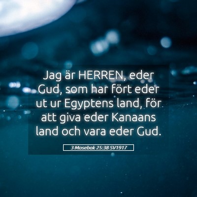 Picture 05 - 3 Mosebok 25:38 SV1917 - Jag är HERREN, eder Gud, som har fört eder ut - Bible Verse Picture