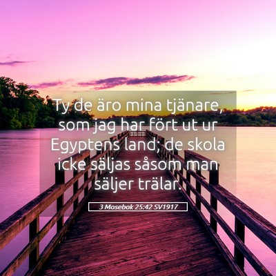 Picture 05 - 3 Mosebok 25:42 SV1917 - Ty de äro mina tjänare, som jag har fört ut ur - Bible Verse Picture