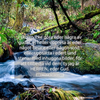 Picture 05 - 3 Mosebok 26:1 SV1917 - I skolen icke göra eder några av gudar, ej - Bible Verse Picture