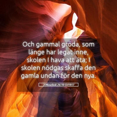 Picture 05 - 3 Mosebok 26:10 SV1917 - Och gammal gröda, som länge har legat inne, - Bible Verse Picture