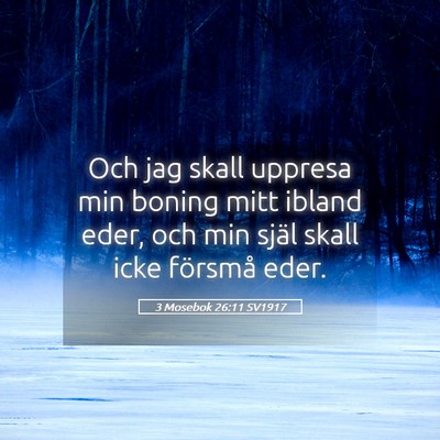 Picture 05 - 3 Mosebok 26:11 SV1917 - Och jag skall uppresa min boning mitt ibland - Bible Verse Picture