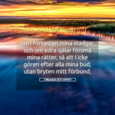 Picture 05 - 3 Mosebok 26:15 SV1917 - om I förkasten mina stadgar, och om edra själar - Bible Verse Picture