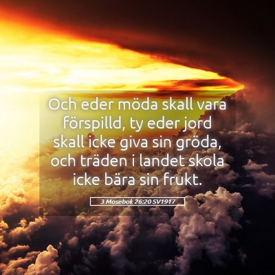 Picture 05 - 3 Mosebok 26:20 SV1917 - Och eder möda skall vara förspilld, ty eder - Bible Verse Picture