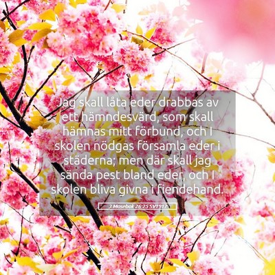 Picture 05 - 3 Mosebok 26:25 SV1917 - Jag skall låta eder drabbas av ett - Bible Verse Picture