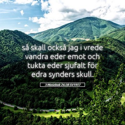 Picture 05 - 3 Mosebok 26:28 SV1917 - så skall också jag i vrede vandra eder emot och - Bible Verse Picture