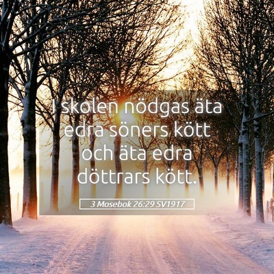 Picture 05 - 3 Mosebok 26:29 SV1917 - I skolen nödgas äta edra söners kött och äta - Bible Verse Picture