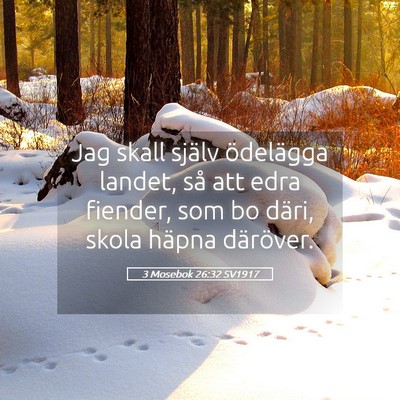 Picture 05 - 3 Mosebok 26:32 SV1917 - Jag skall själv ödelägga landet, så att edra - Bible Verse Picture