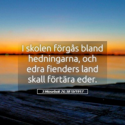 Picture 05 - 3 Mosebok 26:38 SV1917 - I skolen förgås bland hedningarna, och edra - Bible Verse Picture
