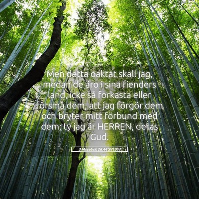 Picture 05 - 3 Mosebok 26:44 SV1917 - Men detta oaktat skall jag, medan de äro i sina - Bible Verse Picture