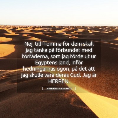 Picture 05 - 3 Mosebok 26:45 SV1917 - Nej, till fromma för dem skall jag tänka på - Bible Verse Picture