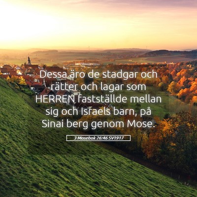 Picture 05 - 3 Mosebok 26:46 SV1917 - Dessa äro de stadgar och rätter och lagar som - Bible Verse Picture