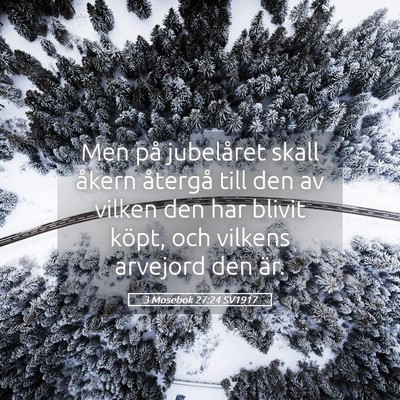Picture 05 - 3 Mosebok 27:24 SV1917 - Men på jubelåret skall åkern återgå till den - Bible Verse Picture