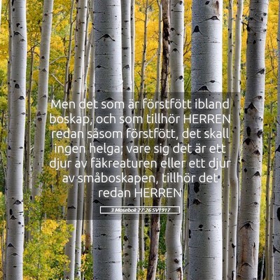 Picture 05 - 3 Mosebok 27:26 SV1917 - Men det som är förstfött ibland boskap, och - Bible Verse Picture