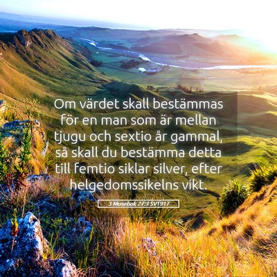 Picture 05 - 3 Mosebok 27:3 SV1917 - Om värdet skall bestämmas för en man som är - Bible Verse Picture