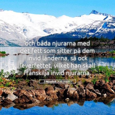 Picture 05 - 3 Mosebok 3:10 SV1917 - och båda njurarna med det fett som sitter på - Bible Verse Picture
