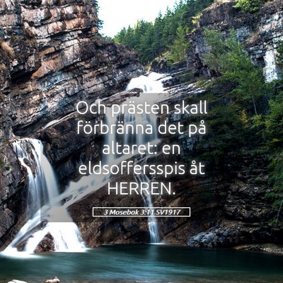 Picture 05 - 3 Mosebok 3:11 SV1917 - Och prästen skall förbränna det på altaret: - Bible Verse Picture