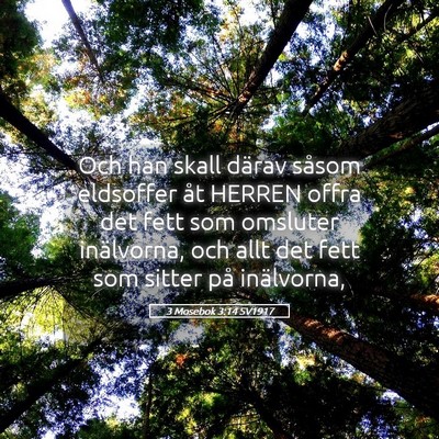 Picture 05 - 3 Mosebok 3:14 SV1917 - Och han skall därav såsom eldsoffer åt HERREN - Bible Verse Picture