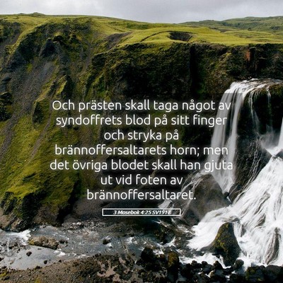 Picture 05 - 3 Mosebok 4:25 SV1917 - Och prästen skall taga något av syndoffrets - Bible Verse Picture
