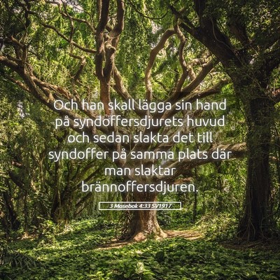 Picture 05 - 3 Mosebok 4:33 SV1917 - Och han skall lägga sin hand på - Bible Verse Picture