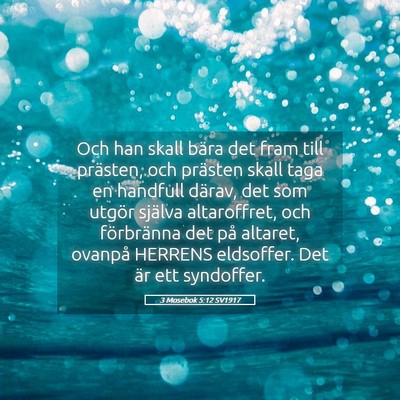 Picture 05 - 3 Mosebok 5:12 SV1917 - Och han skall bära det fram till prästen, och - Bible Verse Picture