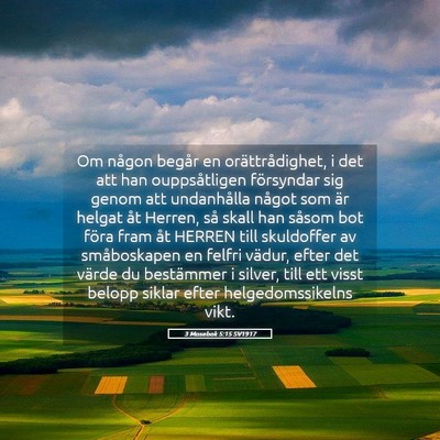 Picture 05 - 3 Mosebok 5:15 SV1917 - Om någon begår en orättrådighet, i det att - Bible Verse Picture