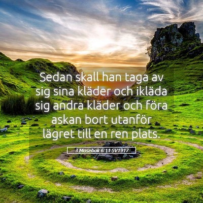 Picture 05 - 3 Mosebok 6:11 SV1917 - Sedan skall han taga av sig sina kläder och - Bible Verse Picture