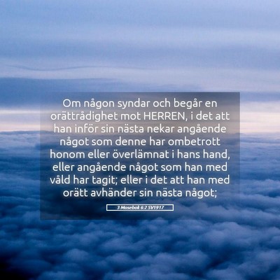 Picture 05 - 3 Mosebok 6:2 SV1917 - Om någon syndar och begår en orättrådighet - Bible Verse Picture