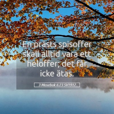 Picture 05 - 3 Mosebok 6:23 SV1917 - En prästs spisoffer skall alltid vara ett - Bible Verse Picture