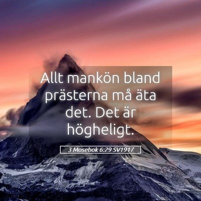 Picture 05 - 3 Mosebok 6:29 SV1917 - Allt mankön bland prästerna må äta det. Det - Bible Verse Picture