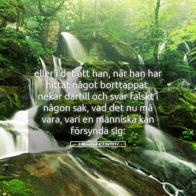 Picture 05 - 3 Mosebok 6:3 SV1917 - eller i det att han, när han har hittat något - Bible Verse Picture