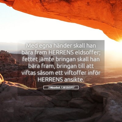 Picture 05 - 3 Mosebok 7:30 SV1917 - Med egna händer skall han bära fram HERRENS - Bible Verse Picture