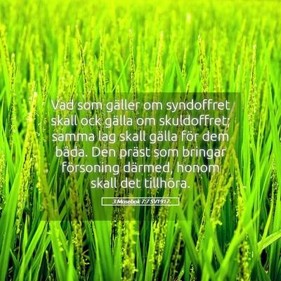 Picture 05 - 3 Mosebok 7:7 SV1917 - Vad som gäller om syndoffret skall ock gälla om - Bible Verse Picture