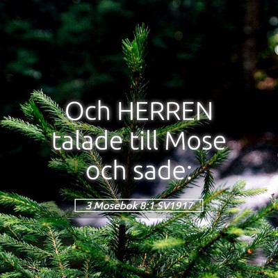 Picture 05 - 3 Mosebok 8:1 SV1917 - Och HERREN talade till Mose och - Bible Verse Picture