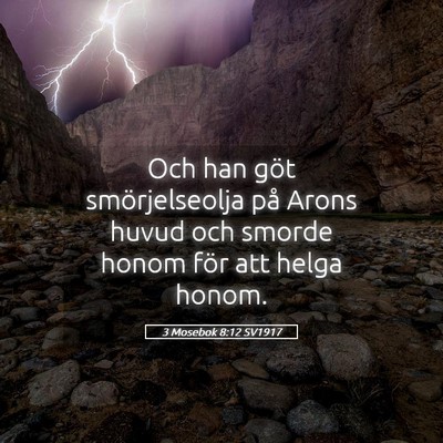 Picture 05 - 3 Mosebok 8:12 SV1917 - Och han göt smörjelseolja på Arons huvud och - Bible Verse Picture