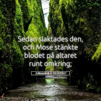 Picture 05 - 3 Mosebok 8:19 SV1917 - Sedan slaktades den, och Mose stänkte blodet på - Bible Verse Picture