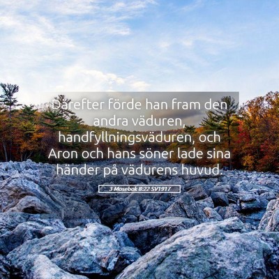 Picture 05 - 3 Mosebok 8:22 SV1917 - Därefter förde han fram den andra väduren, - Bible Verse Picture