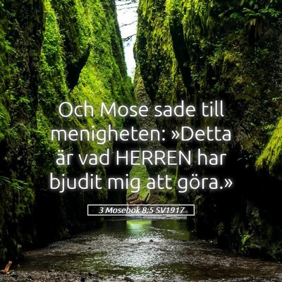 Picture 05 - 3 Mosebok 8:5 SV1917 - Och Mose sade till menigheten: »Detta är vad - Bible Verse Picture